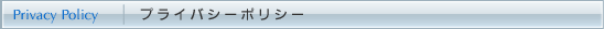 Privacy Policy vCoV[|V[